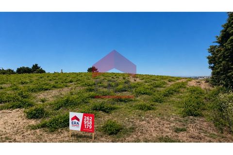 Terra em Carvalhal, Leiria, Carvalhal - € 500.000 | Ref: 150260139 - foto 1