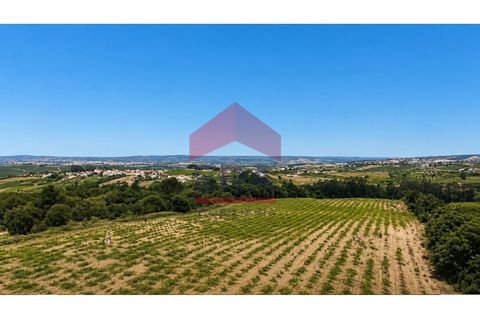 Terra em Carvalhal, Leiria, Carvalhal - € 500.000 | Ref: 150260139 - foto 2