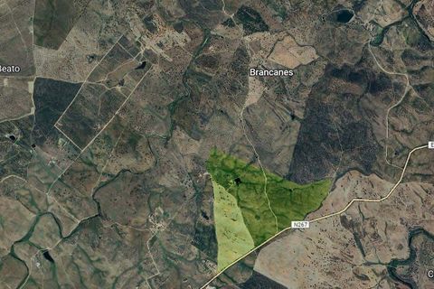 Farm hus i Almodovar, Beja, Almodovar - € 1.200.000 | Ref: 125921171-39 - foto 4