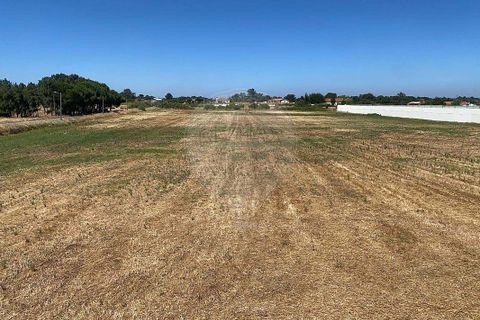 Farm hus i Palmela, Setubal, Palmela - € 930.000 | Ref: 124301207-3 - foto 2
