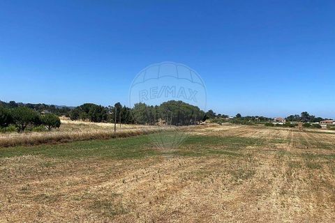 Farm hus i Palmela, Setubal, Palmela - € 930.000 | Ref: 124301207-3 - foto 3
