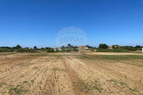 Farm hus i Palmela, Setubal, Palmela - € 930.000 | Ref: 124301207-3 - foto 4