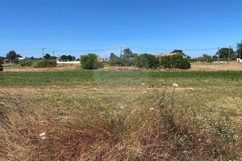 Farm hus i Palmela, Setubal, Palmela - € 930.000 | Ref: 124301207-3 - foto 5