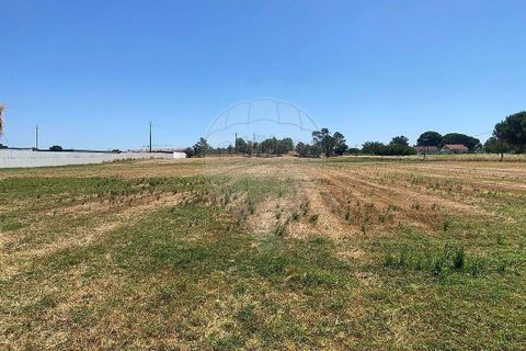 Farm hus i Palmela, Setubal, Palmela - € 930.000 | Ref: 124301207-3 - foto 6