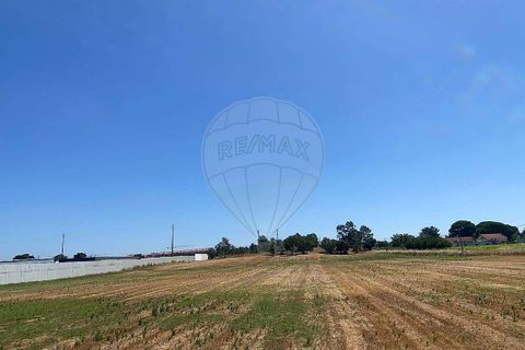 Farm hus i Palmela, Setubal, Palmela - € 930.000 | Ref: 124301207-3 - foto 7