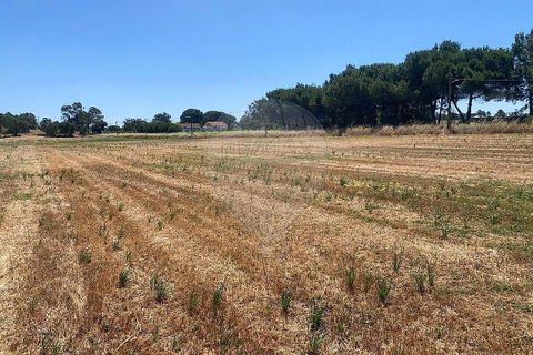 Farm hus i Palmela, Setubal, Palmela - € 930.000 | Ref: 124301207-3 - foto 8