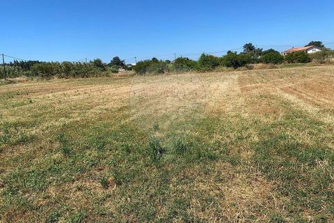 Farm hus i Palmela, Setubal, Palmela - € 930.000 | Ref: 124301207-3 - foto 9