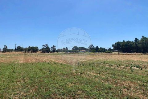 Farm hus i Palmela, Setubal, Palmela - € 930.000 | Ref: 124301207-3 - foto 10