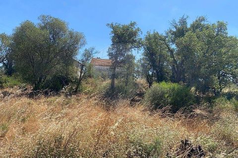 Farm hus i Palmela, Setubal, Palmela - € 930.000 | Ref: 124301207-3 - foto 13
