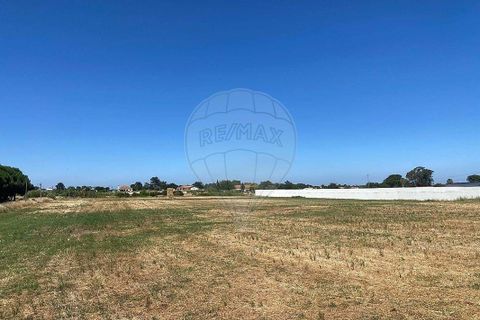 Farm hus i Palmela, Setubal, Palmela - € 930.000 | Ref: 124301207-3 - foto 14