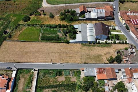 Helårsgrund i Aveiro, Aveiro, Aveiro - € 85.000 | Ref: 949565 - foto 4