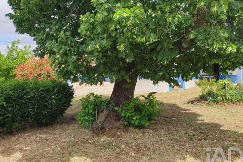 Granja a Elvas, Portalegre, Elvas - € 395.000 | Ref: 934665 - foto 20