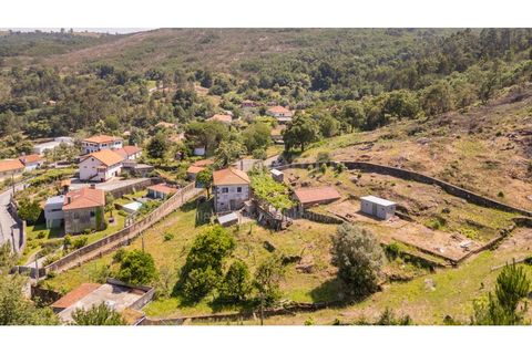 Farm i Venade e Azevedo, Viana do Castelo, Venade e Azevedo - € 265.000 | Ref: B3299 - foto 3