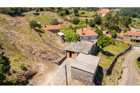 Farm i Venade e Azevedo, Viana do Castelo, Venade e Azevedo - € 265.000 | Ref: B3299 - foto 4