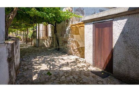 Farm i Venade e Azevedo, Viana do Castelo, Venade e Azevedo - € 265.000 | Ref: B3299 - foto 7