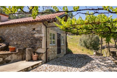 Farm i Venade e Azevedo, Viana do Castelo, Venade e Azevedo - € 265.000 | Ref: B3299 - foto 11
