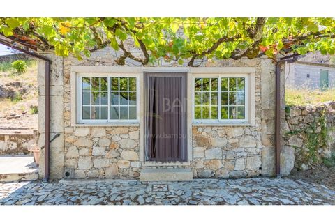 Farm i Venade e Azevedo, Viana do Castelo, Venade e Azevedo - € 265.000 | Ref: B3299 - foto 12