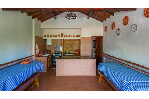 Farm i Venade e Azevedo, Viana do Castelo, Venade e Azevedo - € 265.000 | Ref: B3299 - foto 13