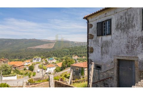 Farm i Venade e Azevedo, Viana do Castelo, Venade e Azevedo - € 265.000 | Ref: B3299 - foto 16