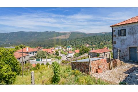 Farm i Venade e Azevedo, Viana do Castelo, Venade e Azevedo - € 265.000 | Ref: B3299 - foto 17