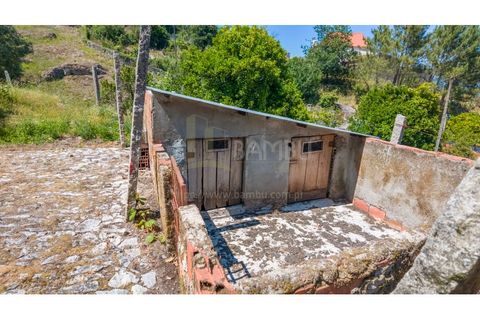 Farm i Venade e Azevedo, Viana do Castelo, Venade e Azevedo - € 265.000 | Ref: B3299 - foto 29