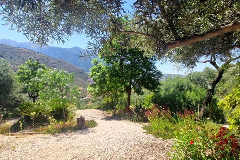 Landejendom i Alcaucin, Malaga, Alcaucin - € 499.000 | Ref: XL4723 - foto 28