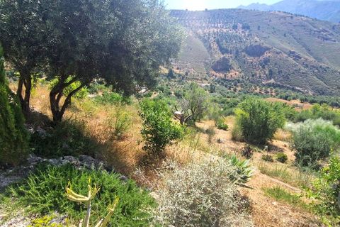 Landejendom i Alcaucin, Malaga, Alcaucin - € 499.000 | Ref: XL4723 - foto 31