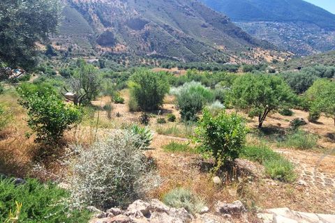 Landejendom i Alcaucin, Malaga, Alcaucin - € 499.000 | Ref: XL4723 - foto 32