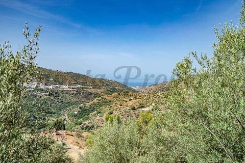 Villa i Sayalonga, Malaga, Sayalonga - € 365.000 | Ref: CP802 - foto 9
