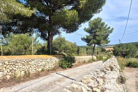 Villa i Manacor, Mallorca, Manacor - € 248.700 | Ref: ISS400C - foto 2