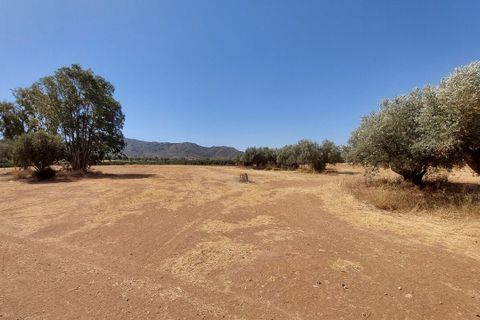 Finca i Lorca, Murcia, Lorca - € 369.950 | Ref: LOR04 - foto 8