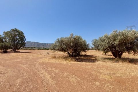 Finca i Lorca, Murcia, Lorca - € 369.950 | Ref: LOR04 - foto 10