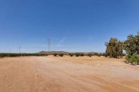 Finca i Lorca, Murcia, Lorca - € 369.950 | Ref: LOR04 - foto 17