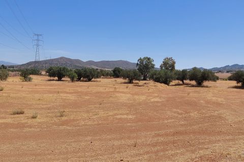 Finca i Lorca, Murcia, Lorca - € 369.950 | Ref: LOR04 - foto 43