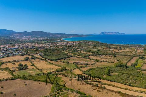 Helårsgrund i Budoni, Sassari, Budoni - € 78.000 | Ref: BUD-09-26 - foto 1