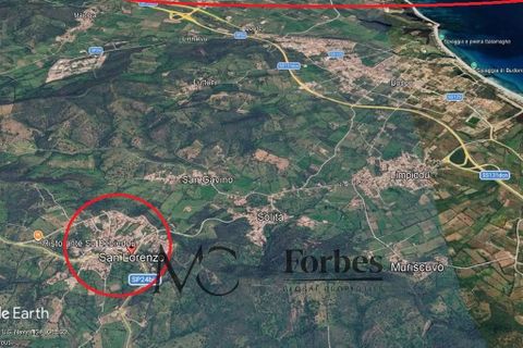 Helårsgrund i Budoni, Sassari, Budoni - € 78.000 | Ref: BUD-09-26 - foto 4