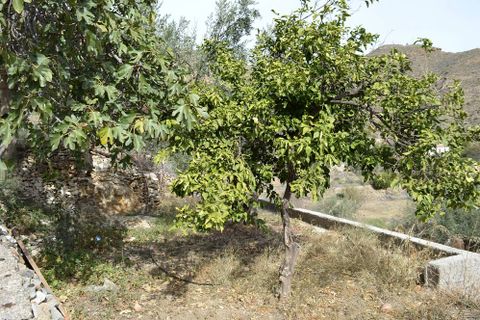 Dorfhaus in Lubrin, Almeria, Lubrin - € 95.000 | Ref: OLV1967 - Foto 7