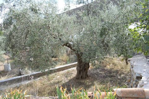 Dorfhaus in Lubrin, Almeria, Lubrin - € 95.000 | Ref: OLV1967 - Foto 8