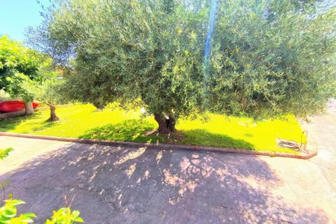 Villa i Almazora, Castellon, Almazora - € 250.000 | Ref: EXP14864/8930 - foto 10