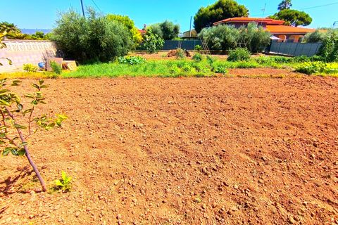 Villa i Almazora, Castellon, Almazora - € 250.000 | Ref: EXP14864/8930 - foto 13