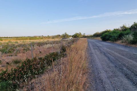 Grond in Lepe, Huelva - foto 3