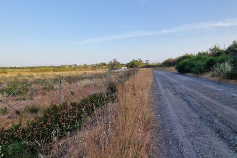 Grond in Lepe, Huelva - foto 4