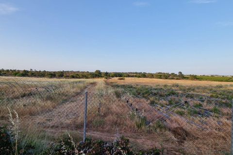 Grond in Lepe, Huelva, Lepe - € 375.000 | Ref: RAC002501/10841 - foto 6