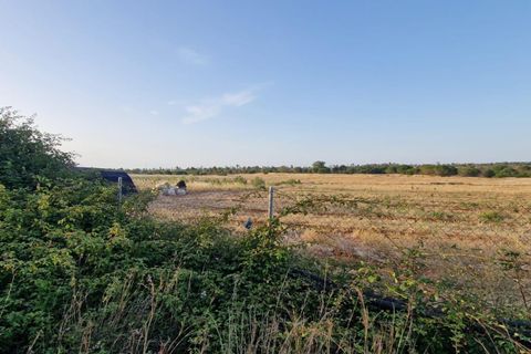 Grond in Lepe, Huelva, Lepe - € 375.000 | Ref: RAC002501/10841 - foto 10