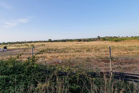 Grond in Lepe, Huelva, Lepe - € 375.000 | Ref: RAC002501/10841 - foto 11