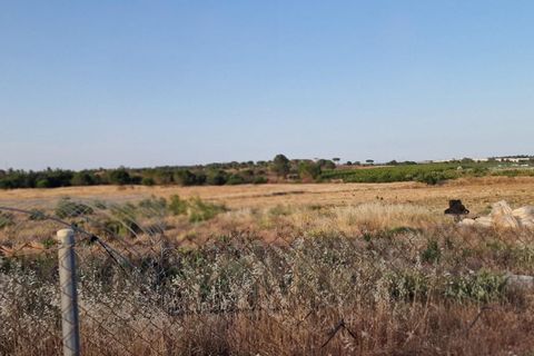 Grond in Lepe, Huelva, Lepe - € 375.000 | Ref: RAC002501/10841 - foto 12