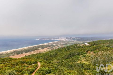 Terra a Nazare, Leiria, Nazare - € 450.000 | Ref: 935317 - foto 9