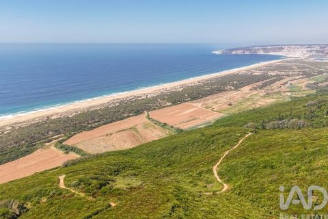 Terra a Nazare, Leiria, Nazare - € 450.000 | Ref: 935317 - foto 12