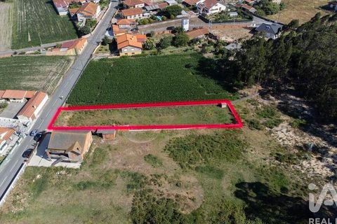 Helårsgrund i Estarreja, Aveiro, Estarreja - € 50.000 | Ref: 955514 - foto 2