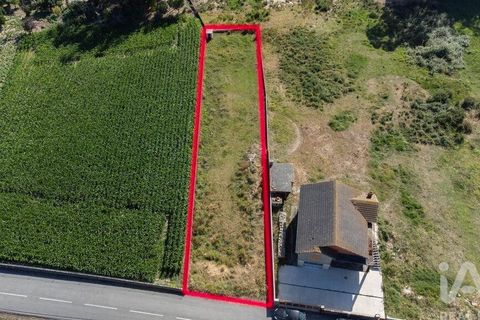 Helårsgrund i Estarreja, Aveiro, Estarreja - € 50.000 | Ref: 955514 - foto 3